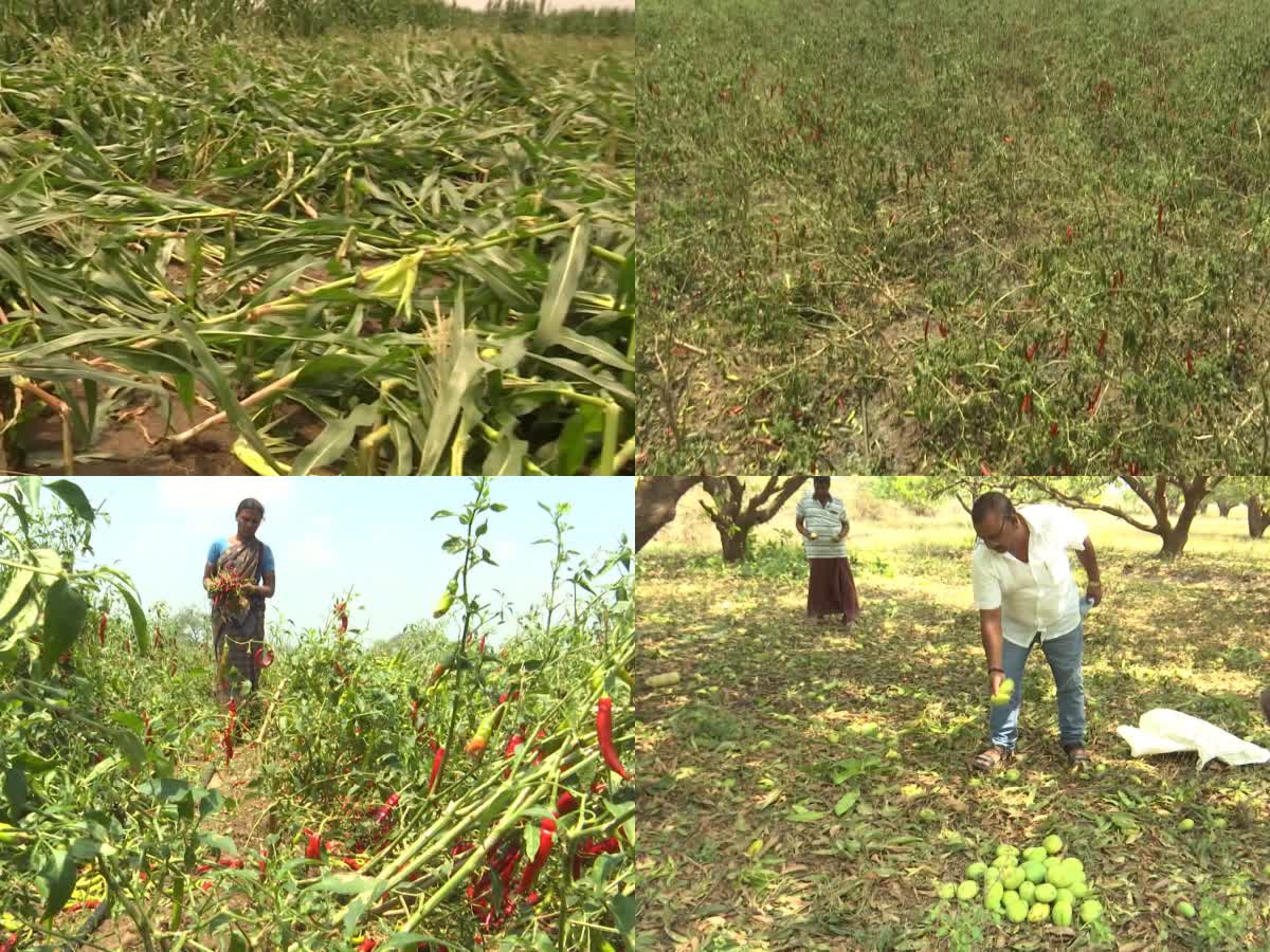 Farmers Who Lost