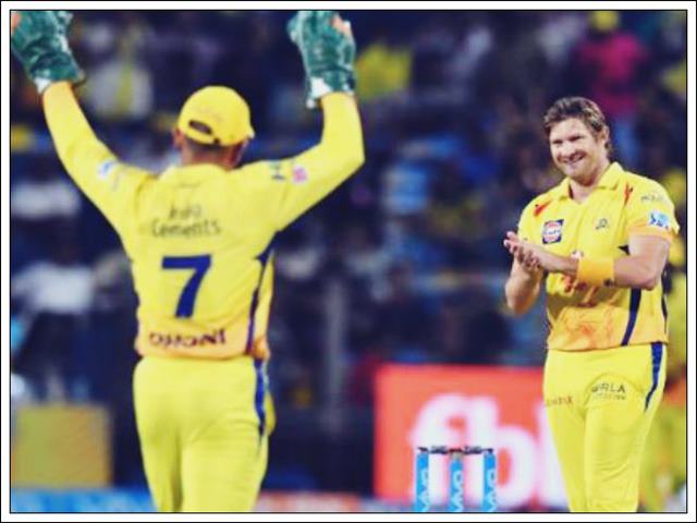 shane watson