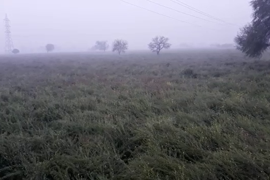 rainfall farmers crops