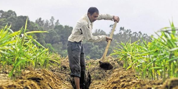 PM farmer honor money