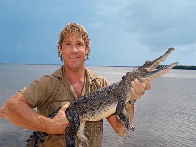 ஸ்டீவ் இர்வின, steve irwin