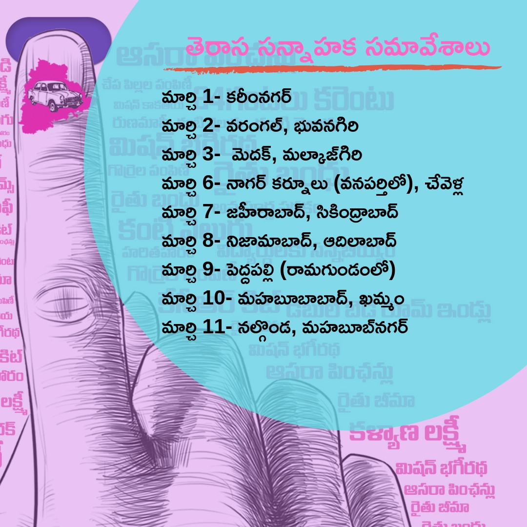 ls polls trs plans