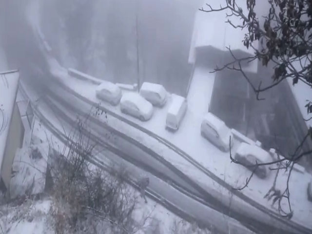 snowfall in shimla