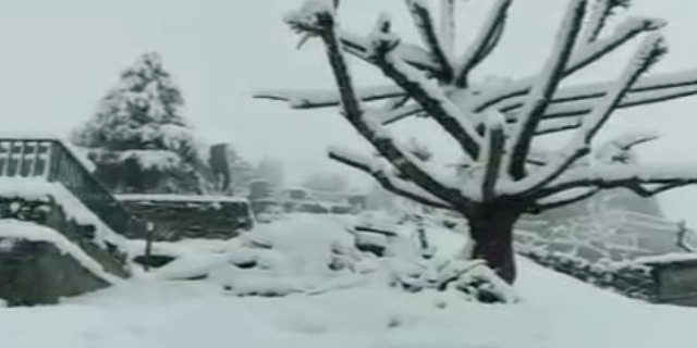 loss due to snowfall and rain in kullu