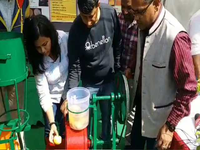 Potato peeling  Machine