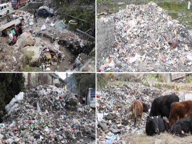 garbage problem in ward 11 in kullu