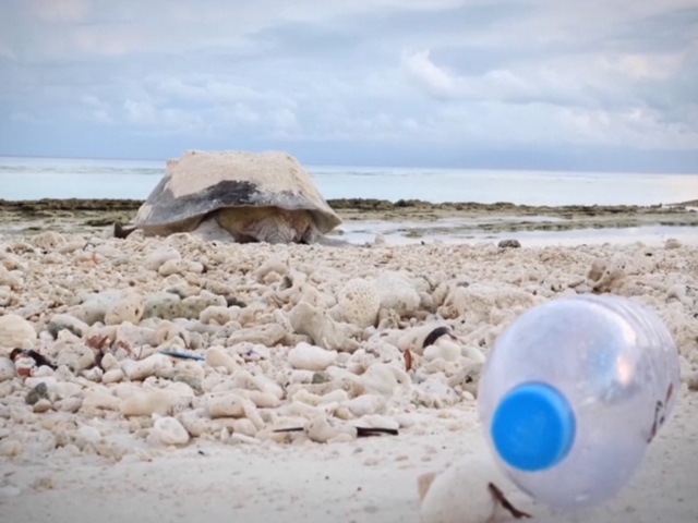 Aldabra atoll