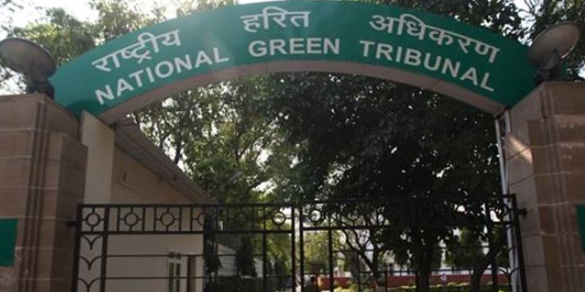 investigation committee will submit its reports to NGT on 31st March