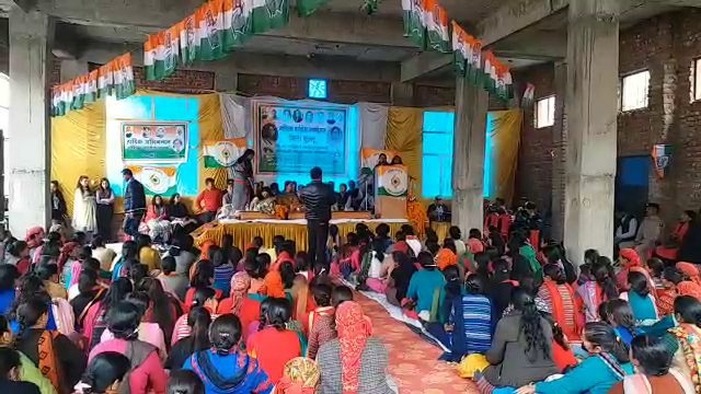 kullu Women Congress Conference