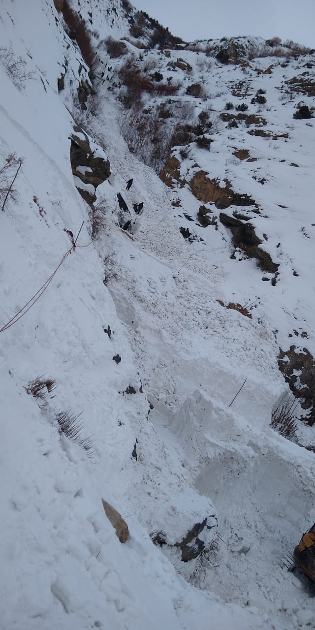 search operation continue in kinnaur