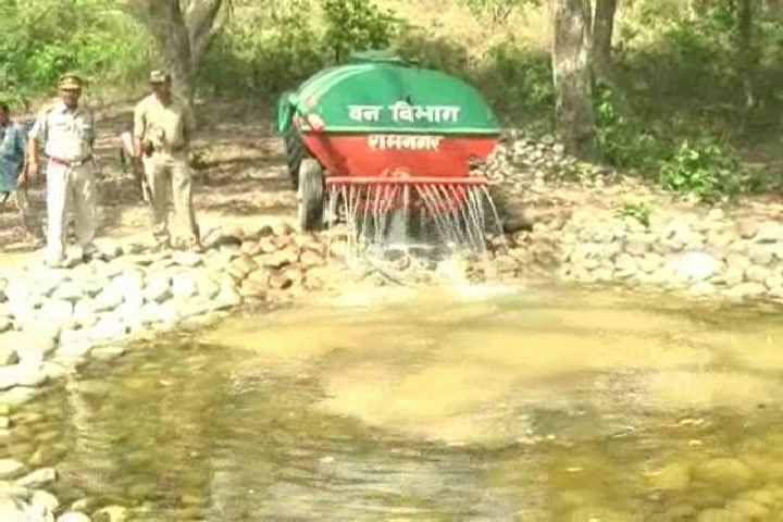 corbett park water hole