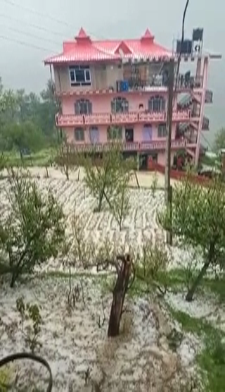 crops destroyed due to snowfall in himachal