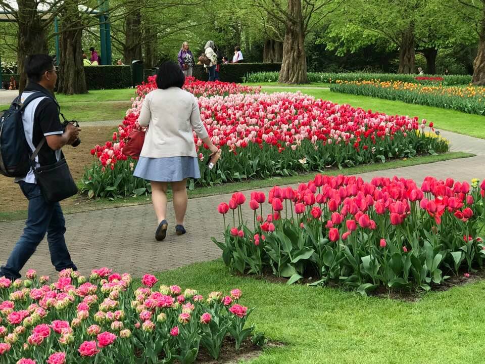 holland-has-been-city-of-tob-flowers