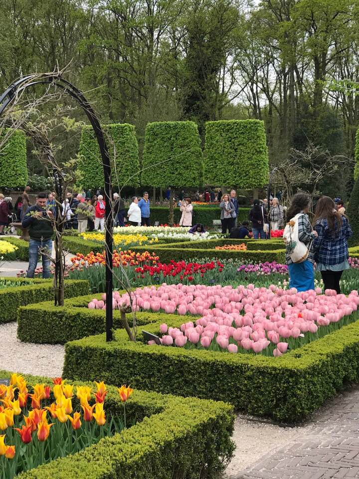 holland-has-been-city-of-tob-flowers