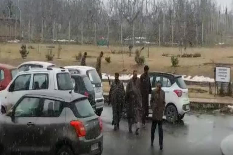 snowfall snowfall