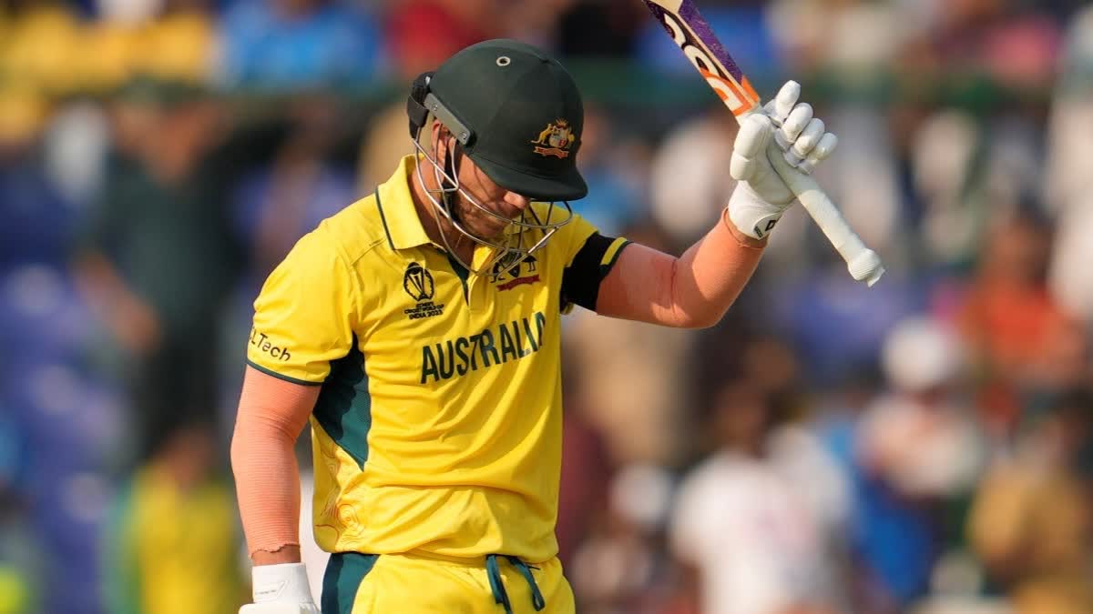 David Warner confirms ODI retirement to add to Test farewell