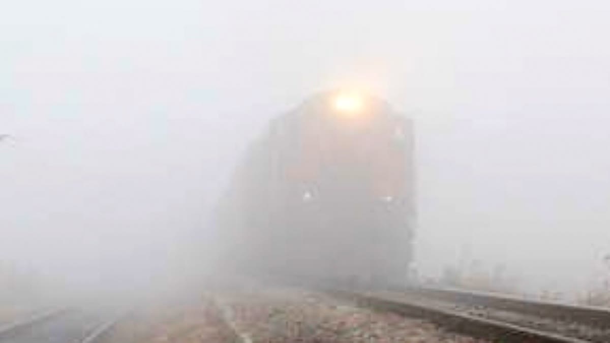 Dense Fog in Delhi