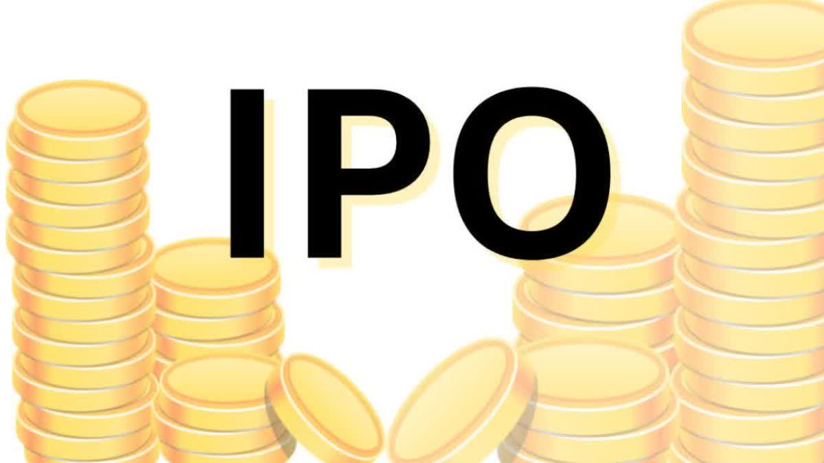 IPOs launched in 2024