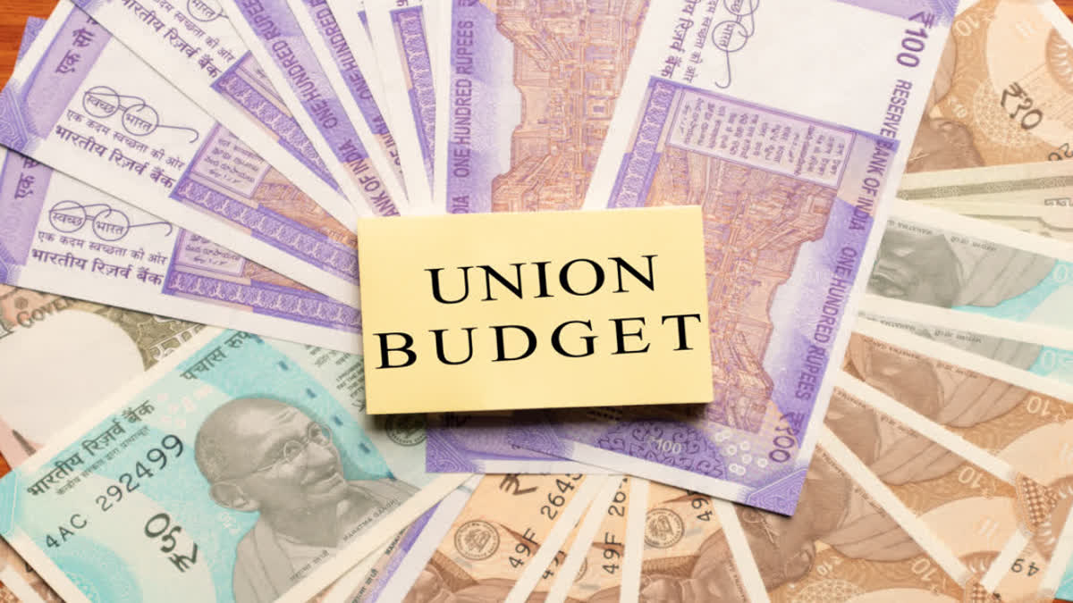 Union Budget 2024 Key terms to understand before budget session