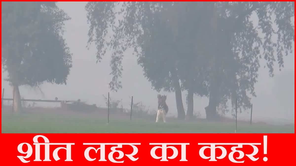 Haryana Cold Wave