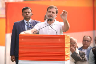 Rahul Gandhi is only an MP and he is equal to the rest of the party's parliamentarians, said Lakshman Singh, who has been a five-time MP and three-term MLA.