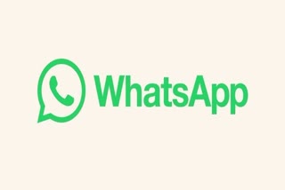 WhatsApp Chat Backup