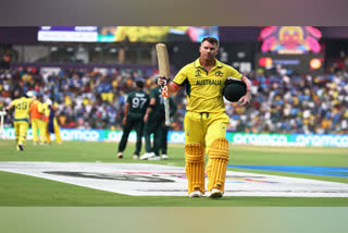 File photo: David Warner (ANI)