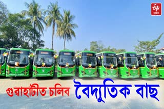 Electric bus services