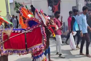 cattle_festival_celebrations