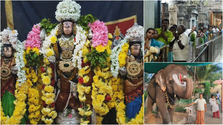 Devotees darshan at oppiliappan temple