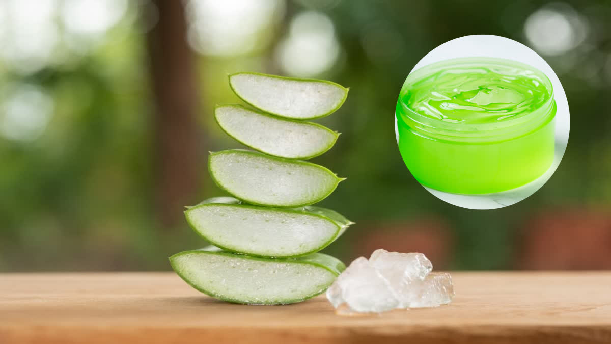 Learn how to make fresh aloe vera gel at home