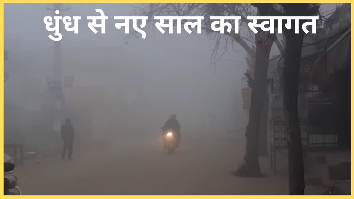 HARYANA WEATHER UPDATE