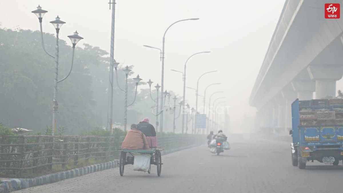 Weather Update of West Bengal