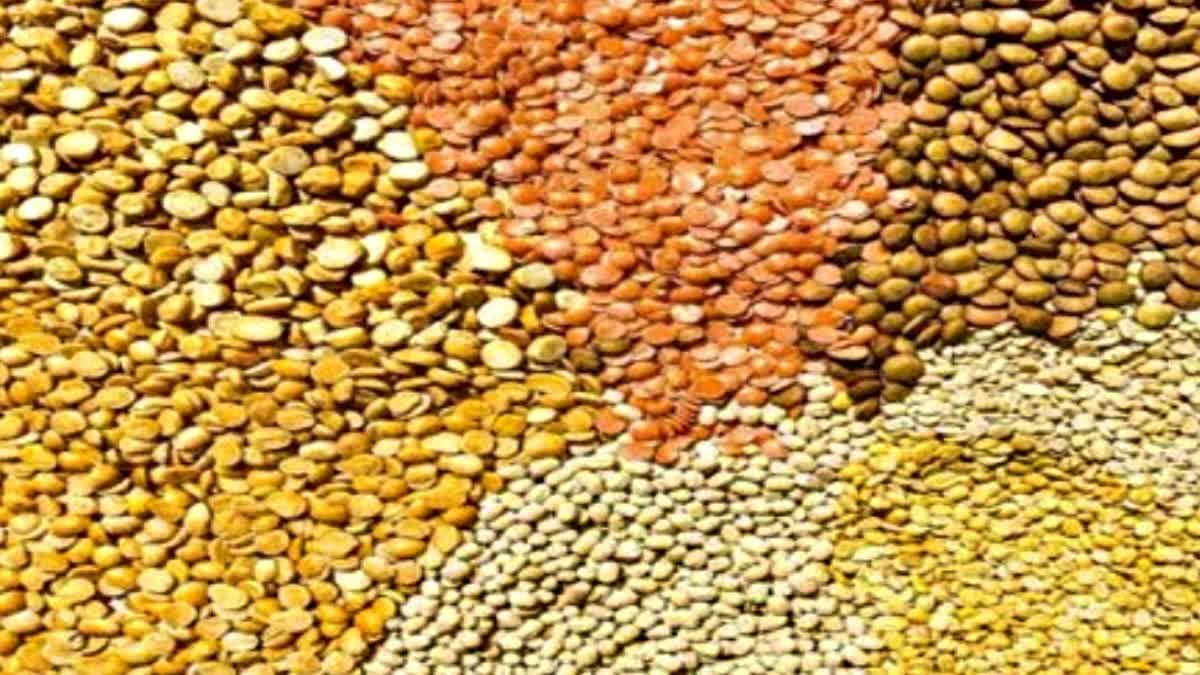 PULSES PRICE IN HIMACHAL DEPOT