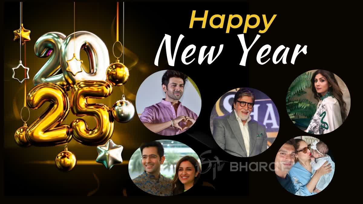 bollywood celebs welcome new year 2025