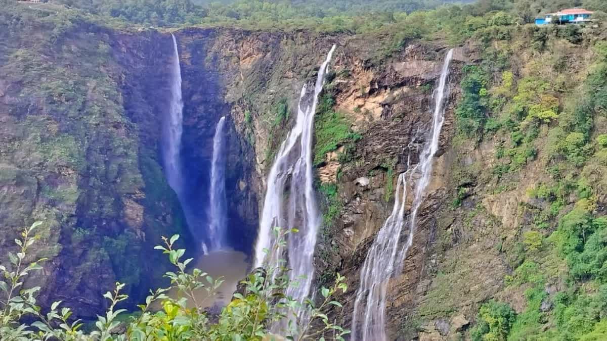 Good news for tourists visiting Jog Falls amid Restrictions