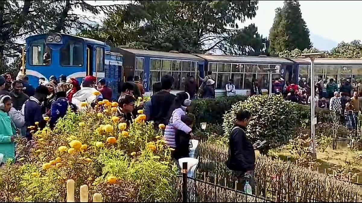 DARJEELING TOY TRAIN