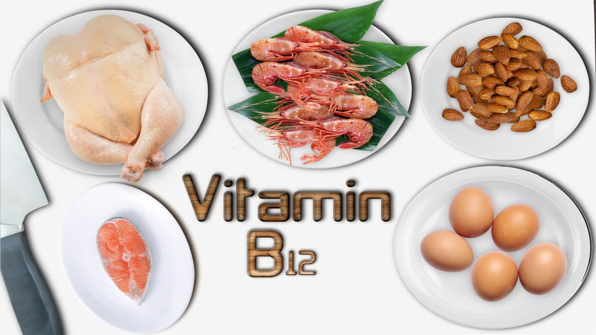 vitamin b12 deficiency rich foods