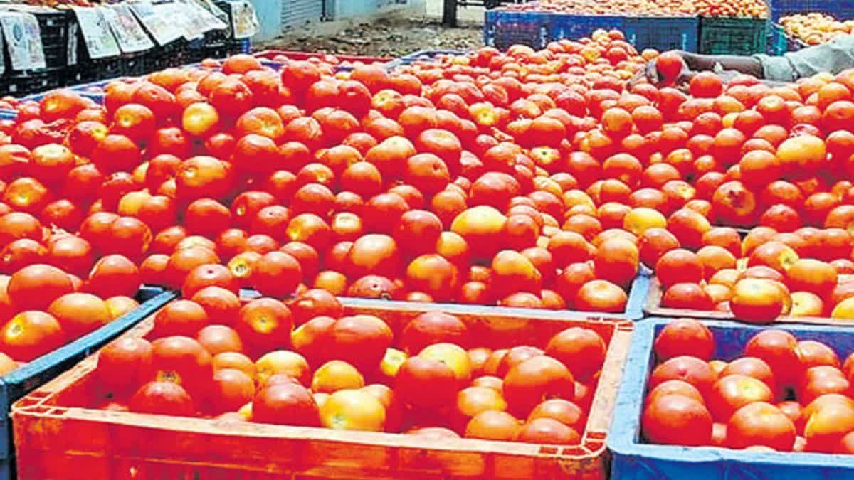 Tomato Prices are Falling Day by Day in Telangana