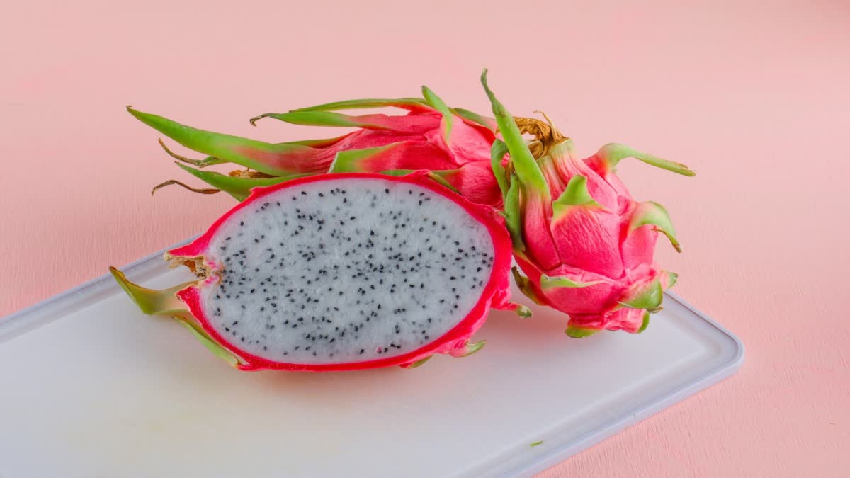 dragon fruit News