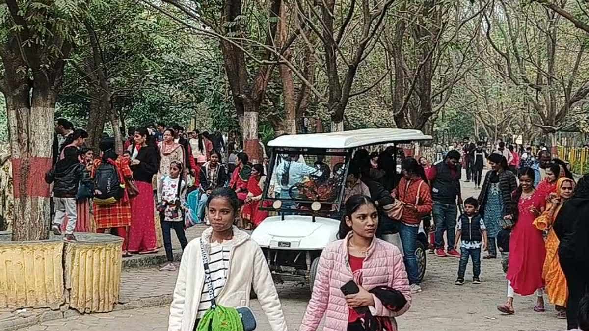 INDORE ZOO NEW YEAR CELEBRATION