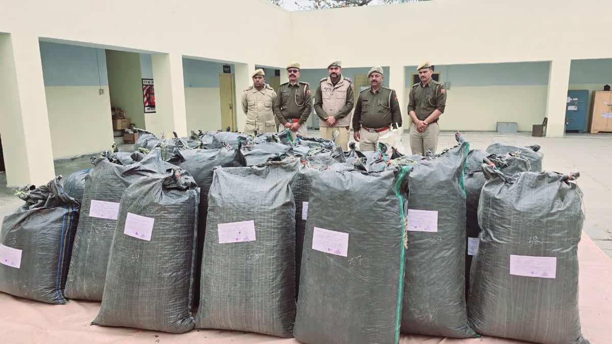 Doda Sawdust seized in Chittorgarh