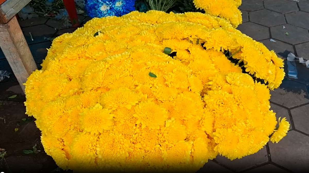 Bhubaneswar flower shop