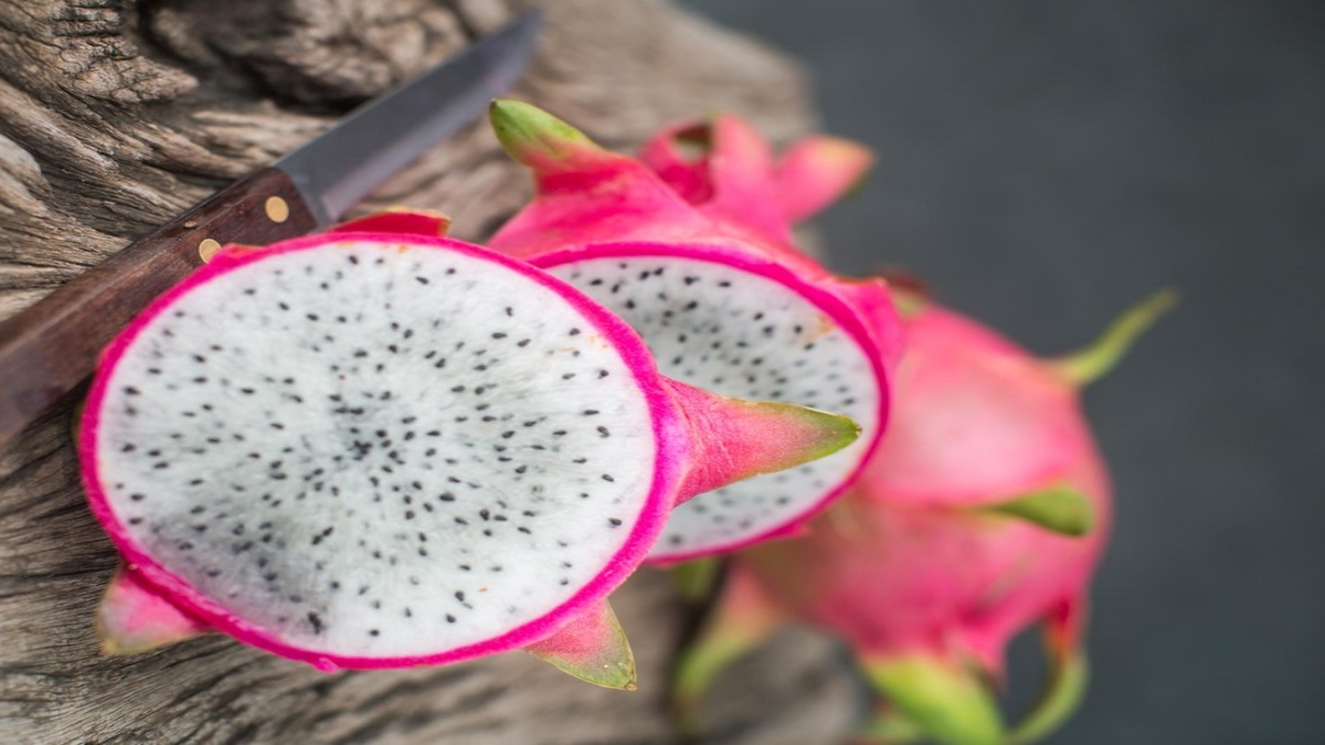 dragon fruit