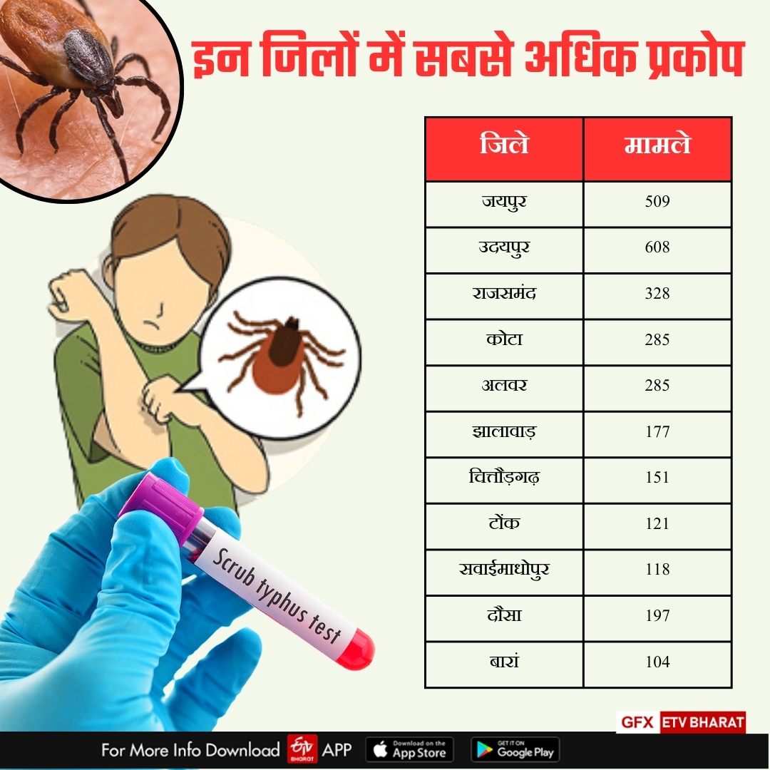 District Wise Record