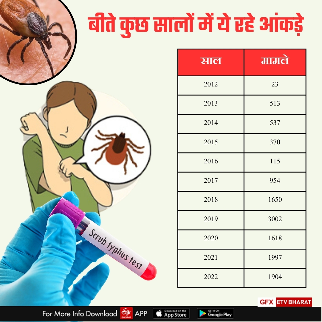 Scrub Typhus Year Wise Record