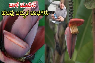 BANANA FLOWER FOR DIABETES  LOWER BLOOD SUGAR  BLOOD SUGAR CONTROL  DIABETES DIET