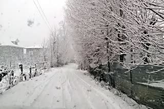 Fresh Snowfall Likely In Kashmir On First Of New Year 2025