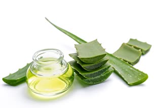 BENEFITS OF ALOE VERA GEL