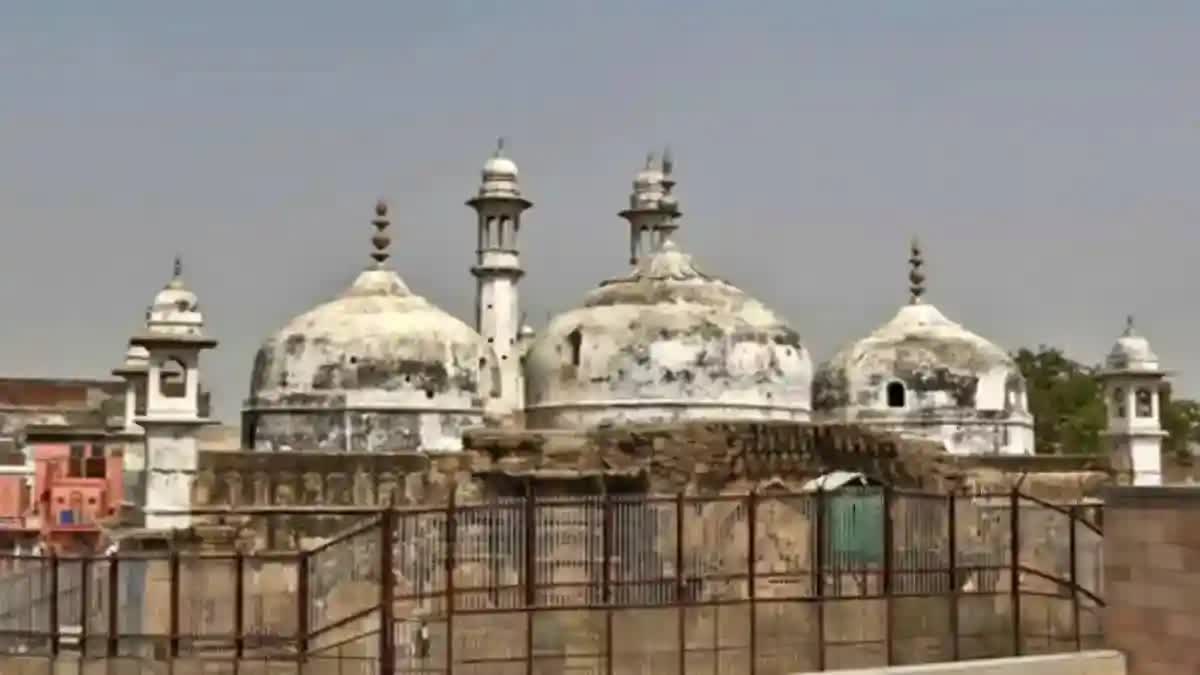 Muslim side lawyer on Gyanvapi case  Gyanvapi mosque  ഗ്യാൻവാപി മസ്‌ജിദ് കേസ് വിധി  വിധിക്കെതിരെ പ്രതികരിച്ച് അഭിഭാഷകൻ  അലഹബാദ് ഹൈക്കോടതിയെ സമീപിക്കും